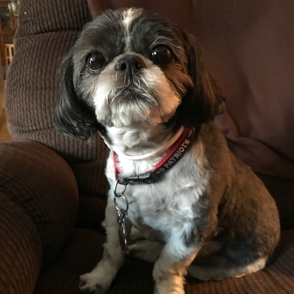 Meet your Posher, Tracy